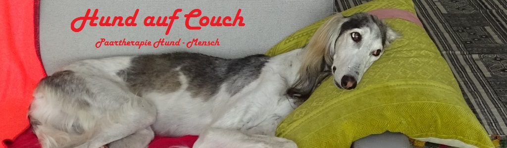 Hund auf Couch - Hundepsychologie nTR